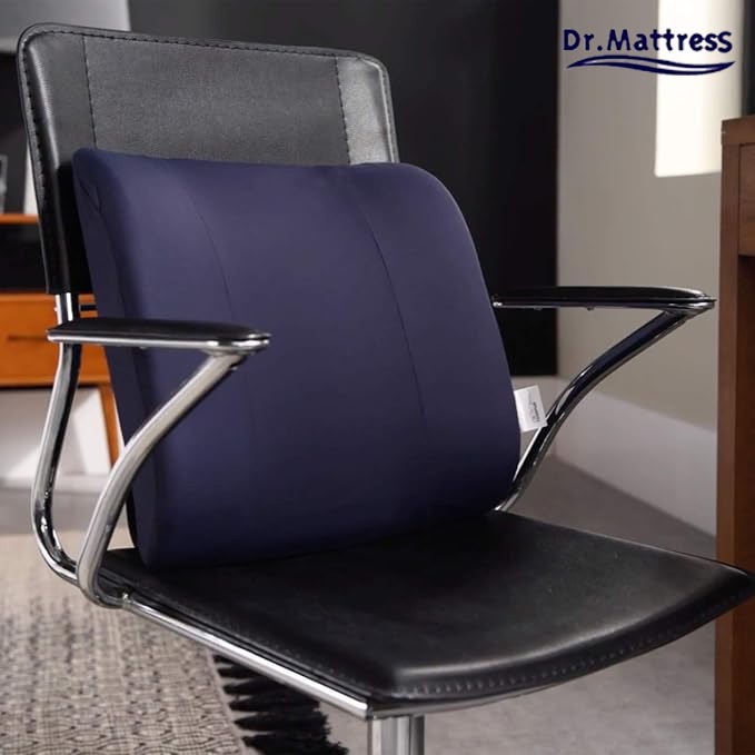 Back Support Cushion